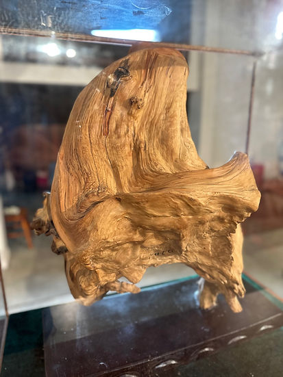 Thuja Wood Buddha Sculpture encased in Glass Box